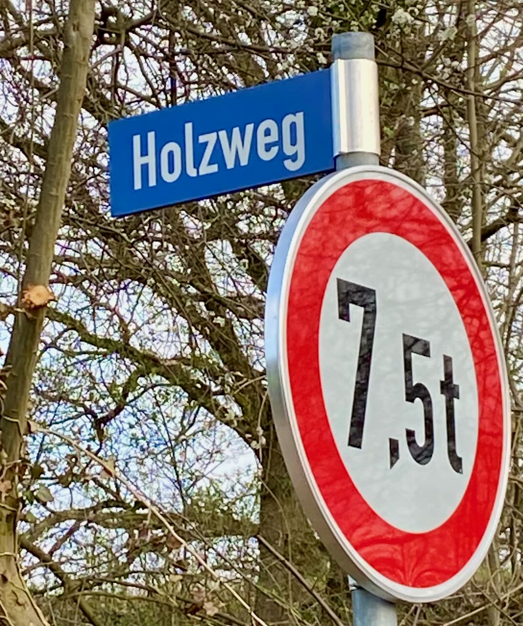 Holzweg